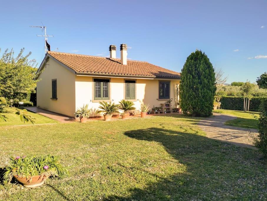 Villetta Rio, Large Private Garden Cecina (Livorno) Exterior photo