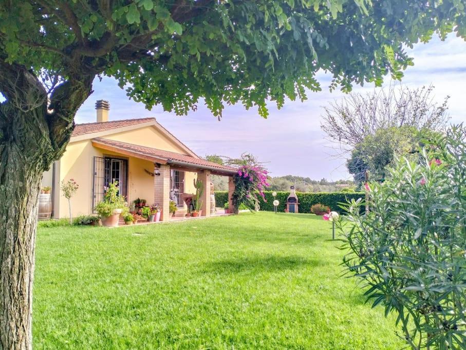 Villetta Rio, Large Private Garden Cecina (Livorno) Exterior photo